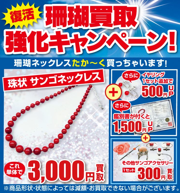 珊瑚コーナー201507