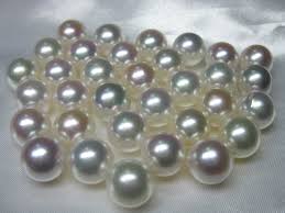 【買取”豆”知識】真珠の種類って？
